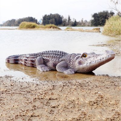 河邊公園擺放的抬頭的玻璃鋼創意鱷魚雕塑